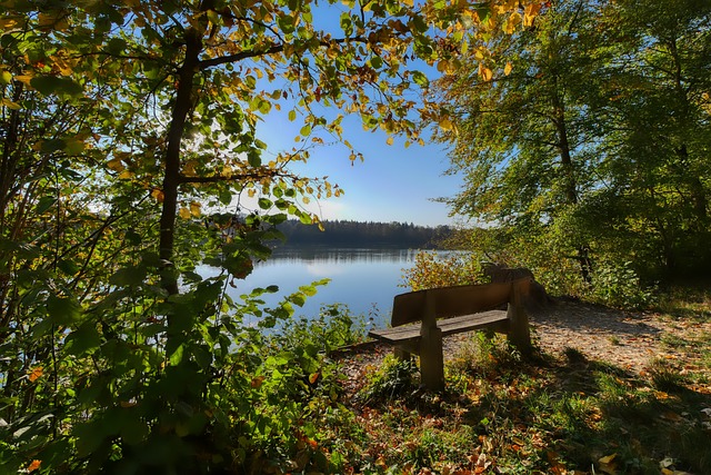 制举办的亚 制举办的亚