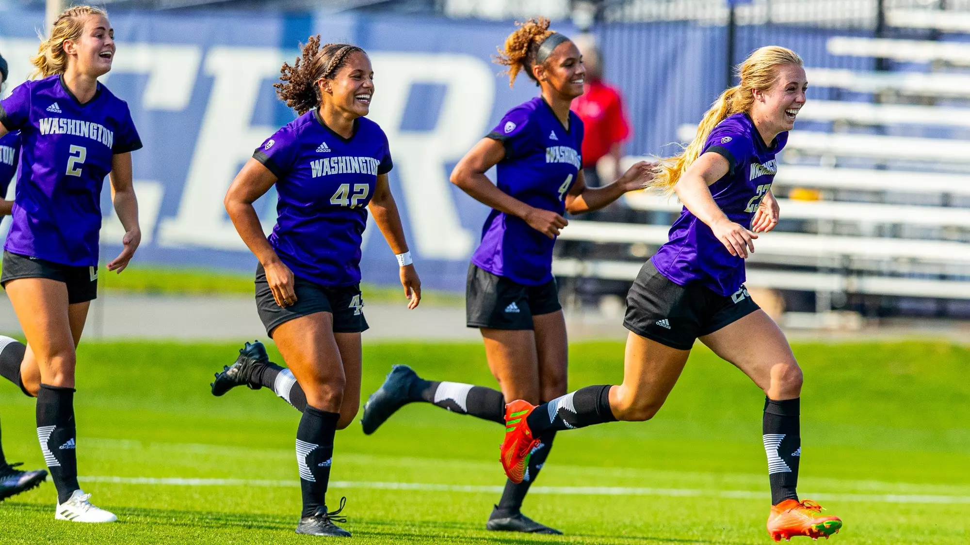 黑的任职期 黑的任职期