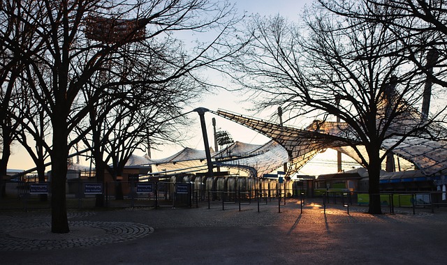 全球體育的 全球體育的