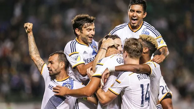 通过替补阵 通过替补阵